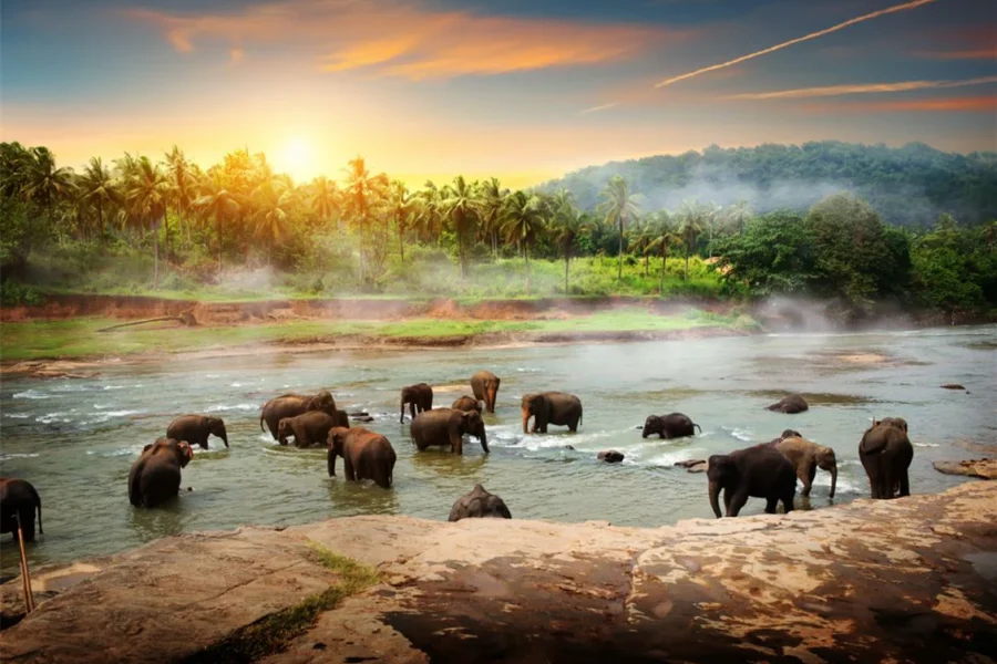 Sri_Lanka_1400x.progressive